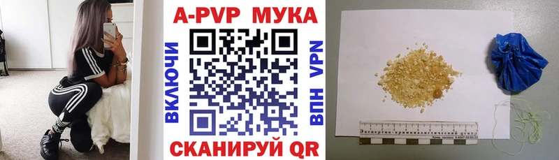 Купить закладки  Кашира  Alpha PVP Соль 
