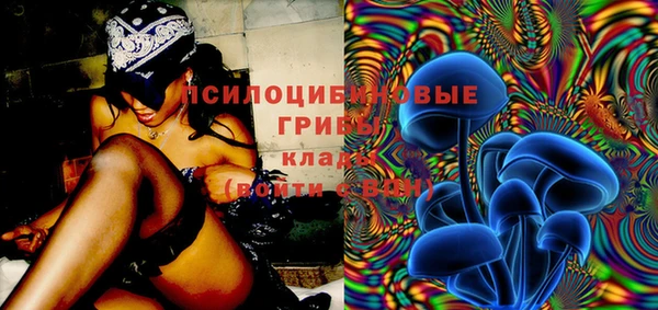 ГАЛЛЮЦИНОГЕННЫЕ ГРИБЫ Саяногорск
