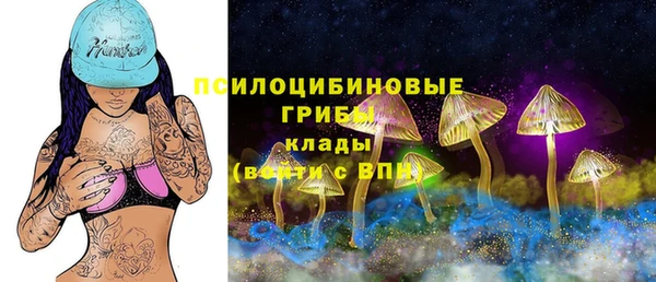 герыч Сафоново