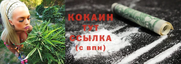 ГАЛЛЮЦИНОГЕННЫЕ ГРИБЫ Саяногорск
