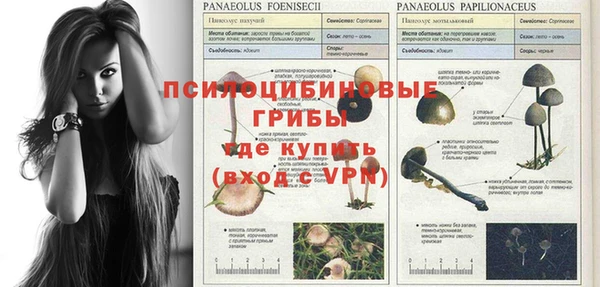 герыч Сафоново