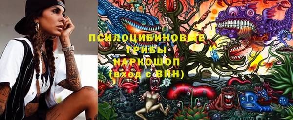 ГАЛЛЮЦИНОГЕННЫЕ ГРИБЫ Саяногорск