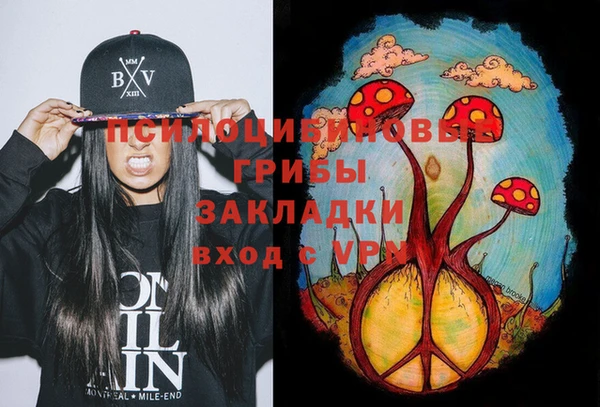 молекула духа Сатка