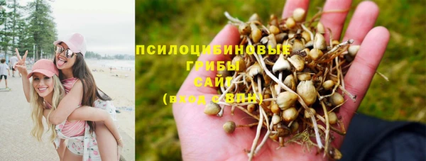 ГАЛЛЮЦИНОГЕННЫЕ ГРИБЫ Саяногорск